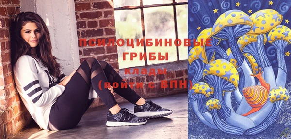 спиды Алексин