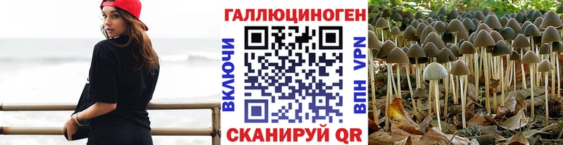 Псилоцибиновые грибы ЛСД  Купить  Верхнеуральск 